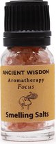 Aromatherapie Geurzout - Focus - Himalayazout, Pepermunt, Rozemarijn, Citroengras & Grapefruit - Reuk Zout