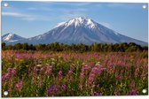 Tuinposter – Bruine Berg aan het Einde van Roze Bloemenveld - 75x50 cm Foto op Tuinposter (wanddecoratie voor buiten en binnen)