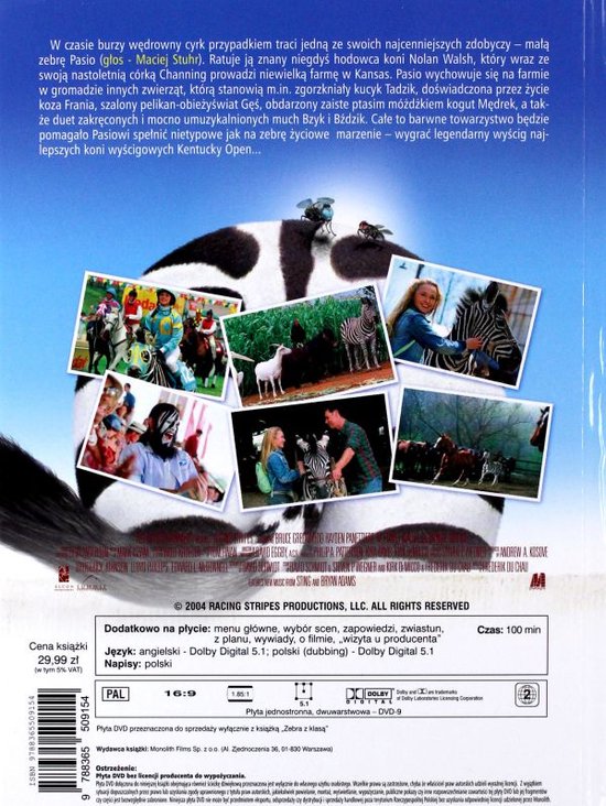 Zig Zag, l'étalon zébré [DVD]