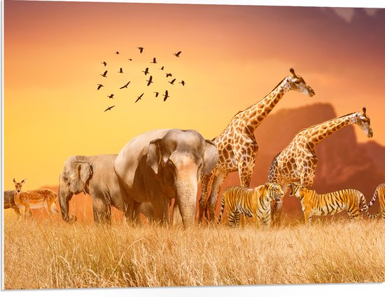 PVC Schuimplaat - De Dieren van het Afrikaanse Landschap - 80x60 cm Foto op PVC Schuimplaat (Met Ophangsysteem)