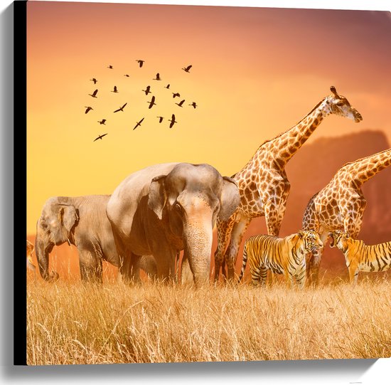 Canvas - De Dieren van het Afrikaanse Landschap - 60x60 cm Foto op Canvas Schilderij (Wanddecoratie op Canvas)