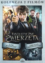 Fantastic Beasts and Where to Find Them [2DVD]
