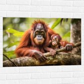 Muursticker - Orang Oetan Aap met Baby zittend bij Takken - 90x60 cm Foto op Muursticker