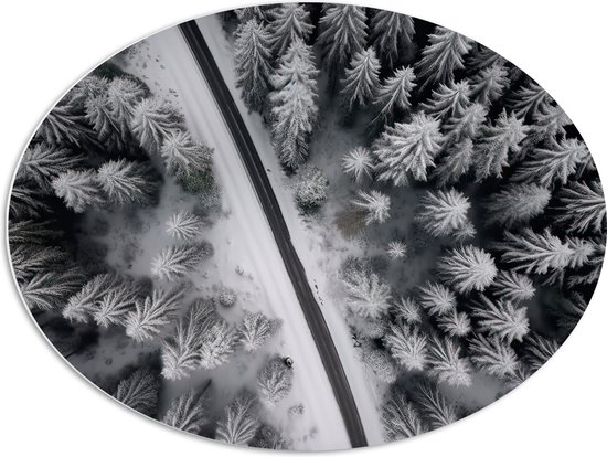 PVC Schuimplaat Ovaal - Bovenaanzicht van Pad tussen Twee Bossen bedekt met Sneeuw (Zwart-wit) - 80x60 cm Foto op Ovaal (Met Ophangsysteem)