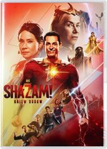 Shazam! Fury of the Gods [DVD]