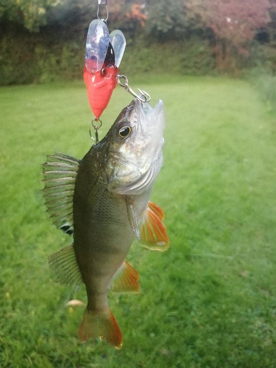 PikeAttack- Cicade Bait - Drijvend - Kunstaas - Zwart/Rood - 5,5g - 4cm van PikeAttack — afbeelding 2