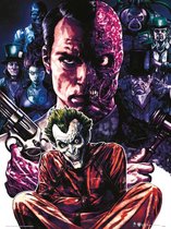 DC Comics Criminally Insane Art Print 30x40cm | Poster