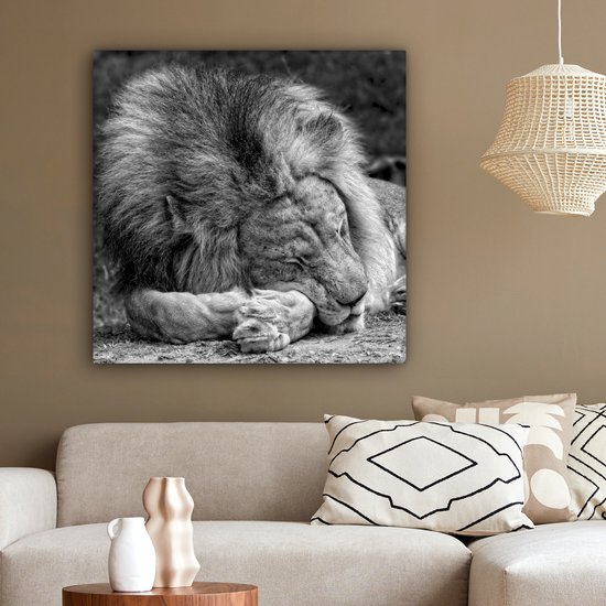 Toile de lion endormie 2cm 90x90 cm - Tirage photo sur toile (Décoration murale salon / chambre) / Peintures sur toile animaux sauvages