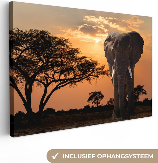 Olifant Schilderij - Dieren - Zonsondergang - Afrika - Natuur - 140x90 cm - Muurdecoratie