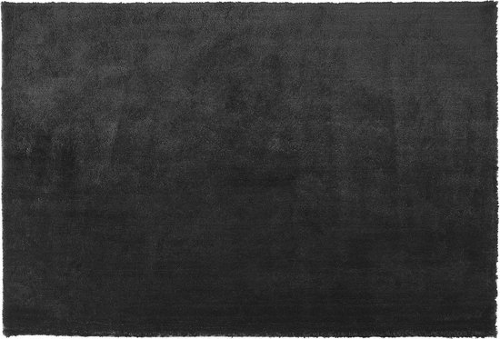 EVREN - Shaggy vloerkleed - Zwart - 200 x 300 cm - Polyester