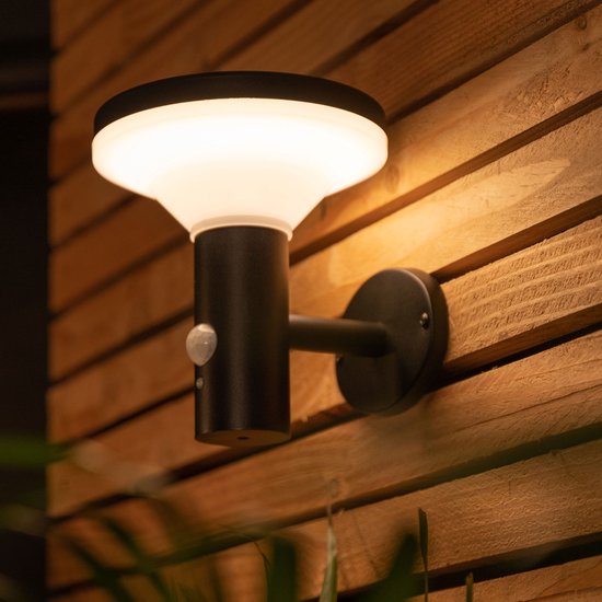 Lampe d'extérieur à LED Solar Brendz Birao avec détecteur de mouvement :  lumière de