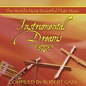 Robert Gass - Instrumental Dreams (CD)