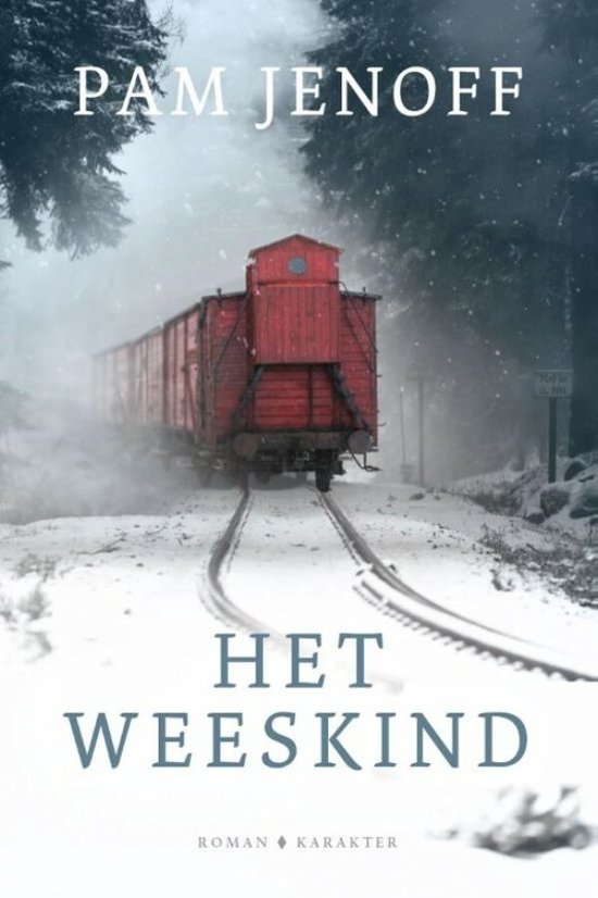 Het weeskind - cover