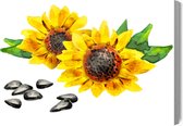 Painting King - Peinture sur toile Fleurs et graines de tournesol telles que peintes - 30 x 20 cm