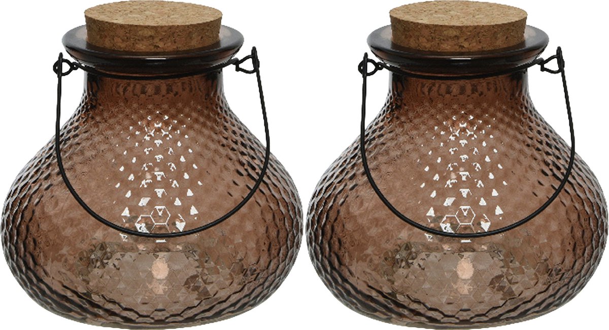 Decoris wespenvanger/wespenval - set 2x - glas - donkerbruin - D14 x H13 cm