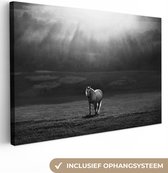 Canvas schilderij - Paard - Landschap - Zwart - Wit - Foto op canvas - Canvasdoek - 150x100 cm - Schilderijen op canvas