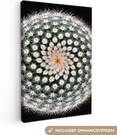 Canvas schilderij - Planten - Cactus - Bloem - Wit - Schilderijen op canvas - Foto op canvas - 60x90 cm - Canvasdoek