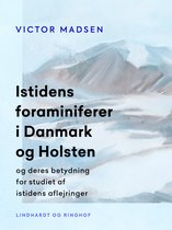 Istidens foraminiferer i Danmark og Holsten og deres betydning for studiet af istidens aflejringer