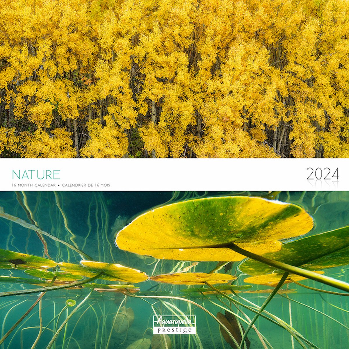 Calendrier Mural Incoyable Nature 2024