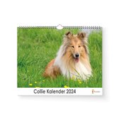 Kalender 2024 - Collie - 35x24cm - 300gms - Spiraalgebonden - Inclusief ophanghaak