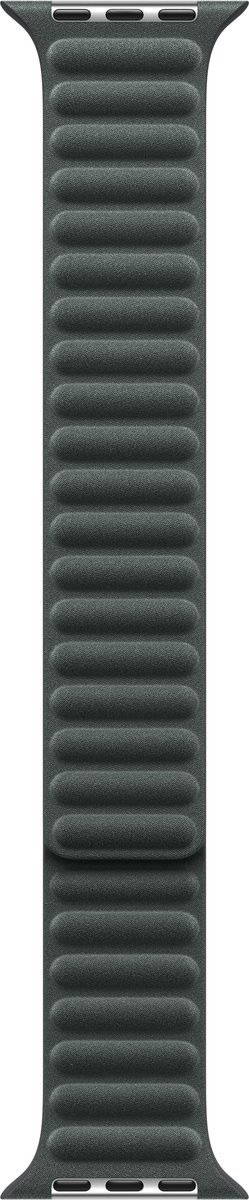 Apple Evergreen Magnetic Link - 41mm - M/L