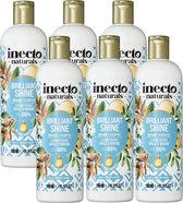Inecto - Argan Shampoo - 6 pak - Voedend - Hydraterend - Natuurlijk