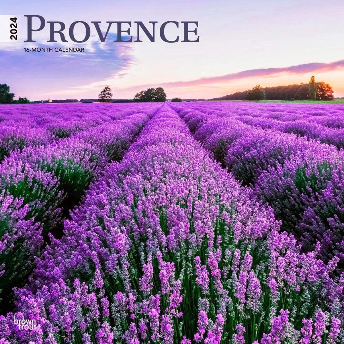 Provence 2024 Square