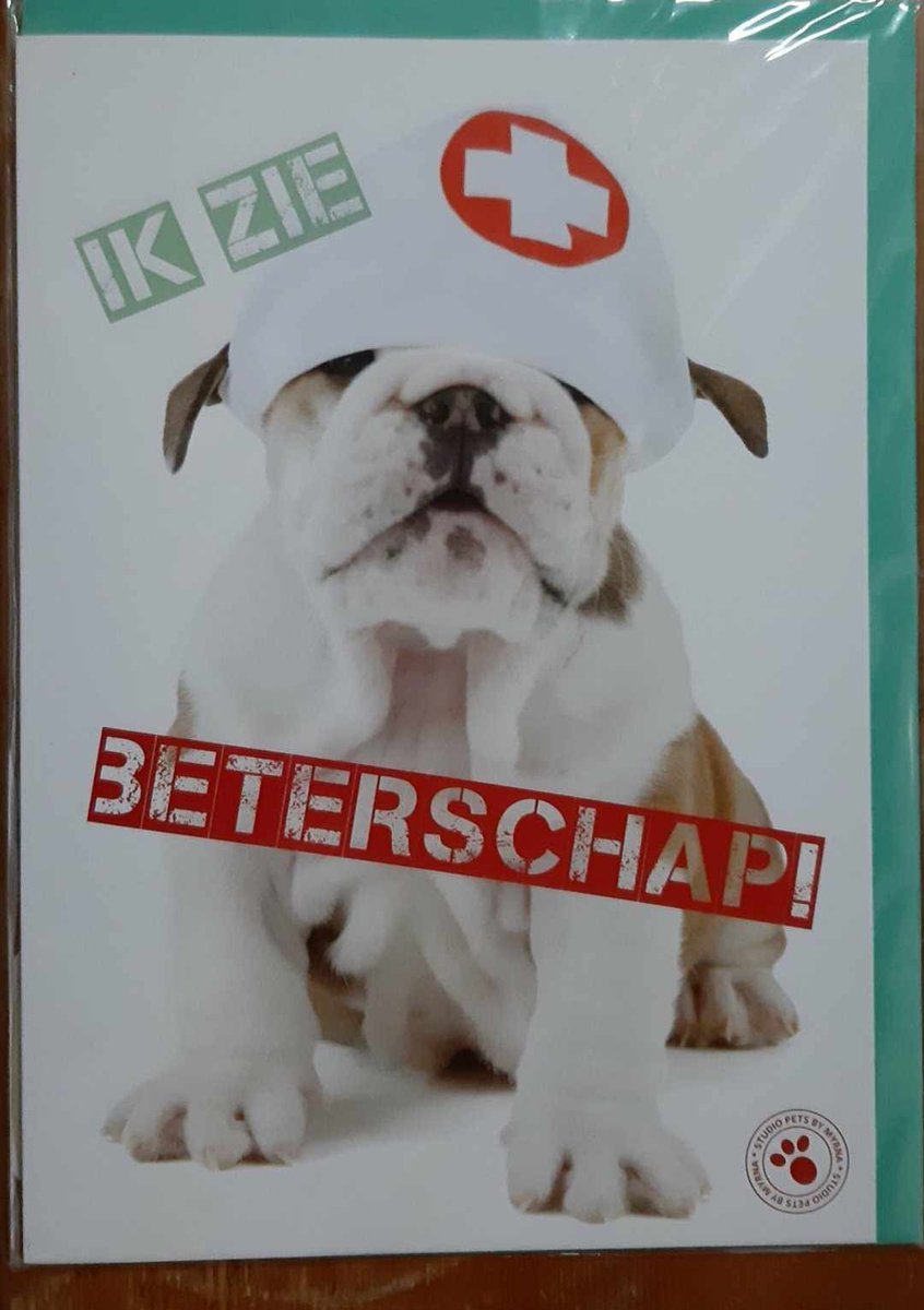 Studio Pets by Myrna - Wenskaart Beterschap - 15 x 20 cm - Dubbele Kaart - Inclusief Envelop