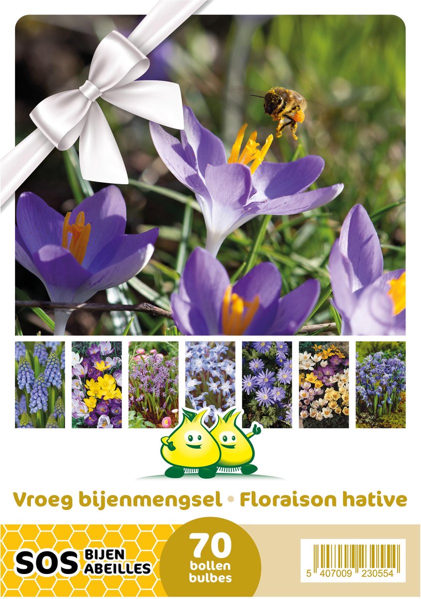 Cadeau verpakking Vroeg bijenmengsel - 70 bloembollen in 7 soorten - muscari - crocus - scilla - chionodoxa - anemone - geschenkverpakking