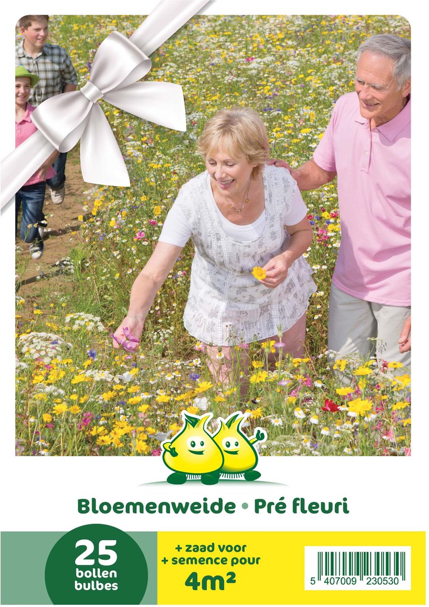 Cadeauverpakking Bloembollen en bloemenweide - 25 bloembollen en zaad voor 4m² bloemenweide - geschenkverpakking