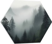 PVC Schuimplaat Hexagon - Dichte Mist Hangend in Boomtoppen - 60x52.2 cm Foto op Hexagon (Met Ophangsysteem)