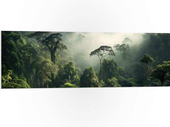 PVC Schuimplaat - Bomen - Bos - Groen - Mist - 120x40 cm Foto op PVC Schuimplaat (Met Ophangsysteem)