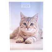 Agenda 2024 - Agenda hebdomadaire 7J/2P - Hardcover A5 - 15x21cm - Chat