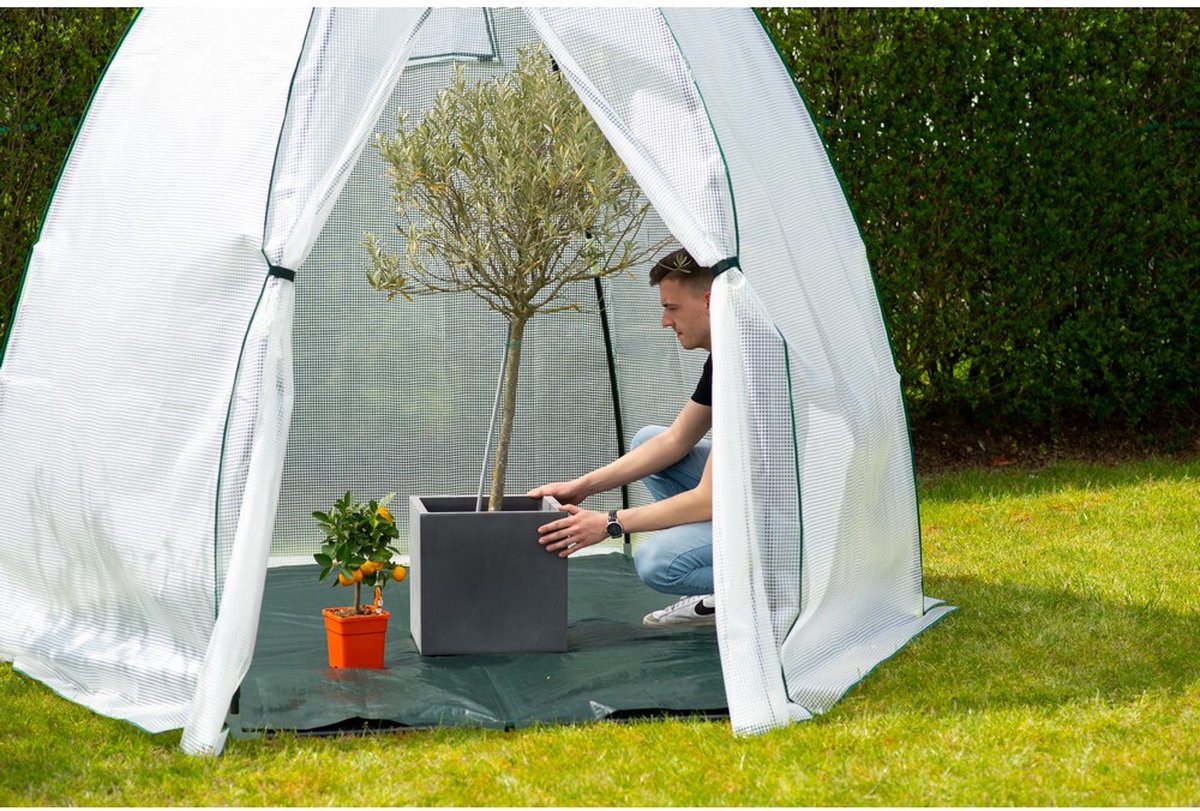Westmann Avocado housse d’hivernage pour plantes - 250 x 250 cm