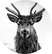 Winter - Sluitzegel – XXL – Kraft Zwart Hert / Rendier - Christmas - Kerst | Hertje - Ree - Eland - Gewei | Envelop sticker – Verjaardag – Bedankje | Cadeau – Gift – Cadeauzakje | Traktatie | DH Collection