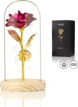Luxe Roos in Glas met LED - Gouden Roos in Glazen Stolp – Eeuwige Roos - Moederdag - Cadeau voor vriendin moeder haar - Roze - Lichte Voet – Qwality