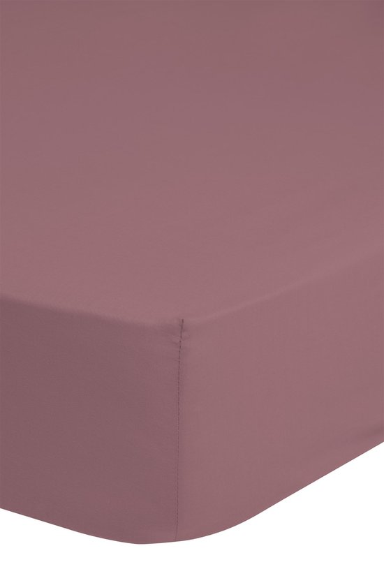 Snoozing - Katoen-satijn - Hoeslaken - 90x210 cm - Ivoor