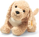 Steiff Berno Goldendoodle hond 36 cm. EAN 067075