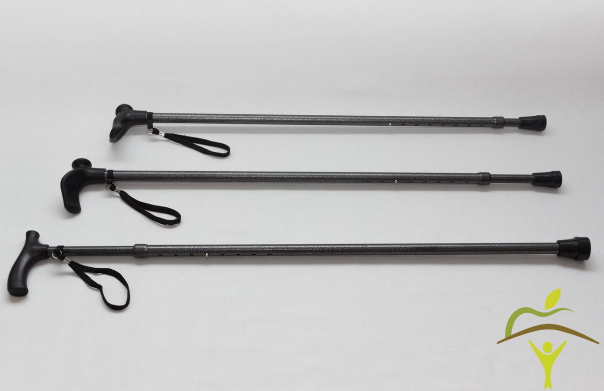 Wandelstok 2-delig - Grijs - Standaard handvat - Adhome