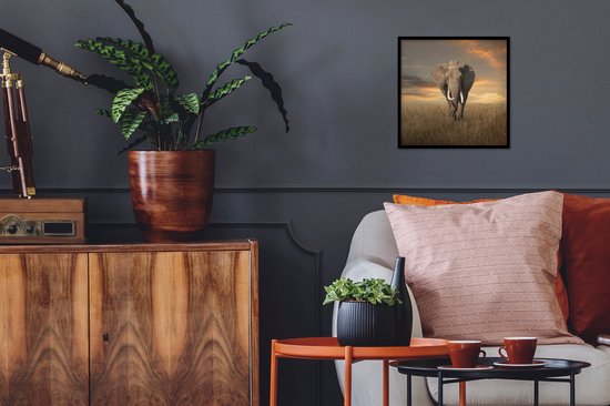 Cadre photo avec affiche - Éléphant - Animaux - Herbe - Nature - 40x40 cm - Cadre pour affiche