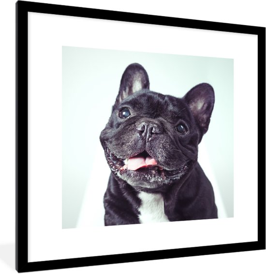 Affiche avec cadre Bouledogue Français - Zwart - Chaise - 40x40 cm