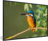 Poster - Fotolijst - Vogel - IJsvogel - Tak - Bladeren - 60x40 cm - Poster vogels - Poster in lijst - Wanddecoratie natuur - Poster dieren - Foto met lijst - Posters - Frame - Posterlijst