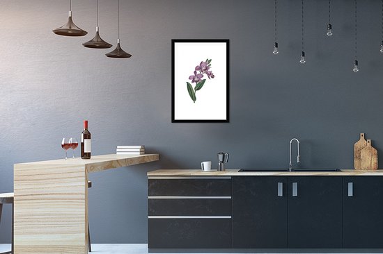 Bloem orchidée violette sur fond blanc 40x60 cm