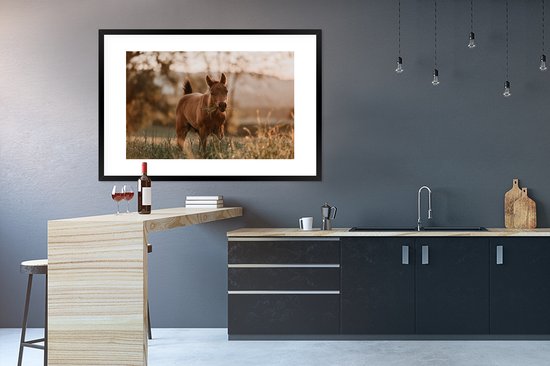 Le poulain Quarter Horse mange de l'herbe 120x80 cm