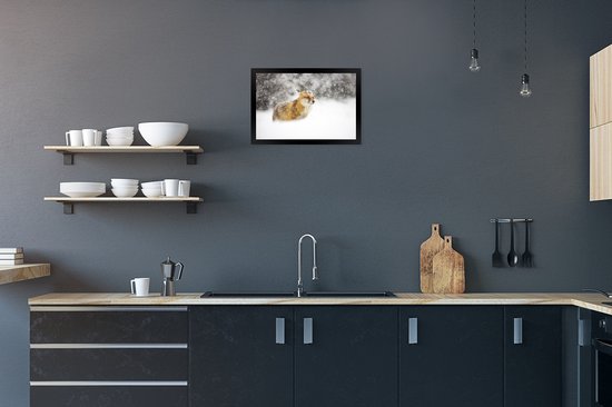 Affiche avec cadre Renard - Neige - Storm - 30x20 cm