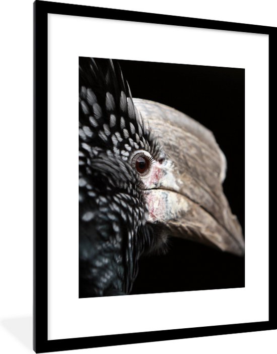Alfombras Turcas Plumas Naturales De Cola De Pavo De 25-30 Cm (10-12