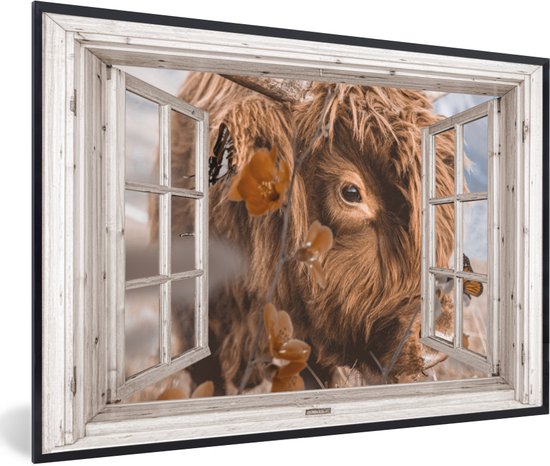 Affiche avec cadre Highlander écossais - Transparent - Insectes - 30x20 cm