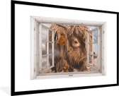 Affiche avec cadre Highlander écossais - Transparent - Insectes - 120x80 cm