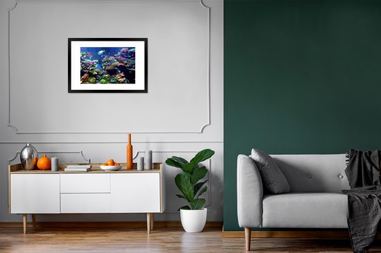 Affiche avec cadre Corail - Poisson - Aquarium - 60x40 cm