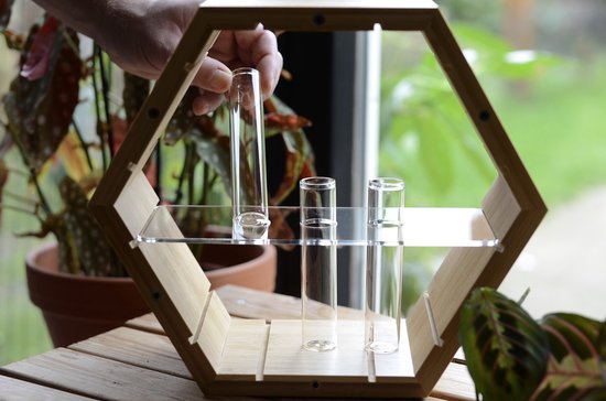 Plantenhanger binnen - Stekstation - Bamboe plantenhanger - Incl. 3 reageerbuisjes